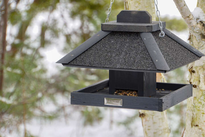 PATKAR Quadratisches Futterhaus Kiefernholz